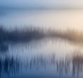 Peacerevitt