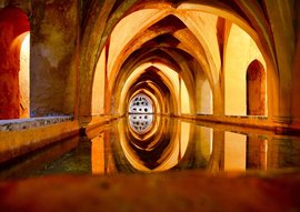 Peacerevitt
